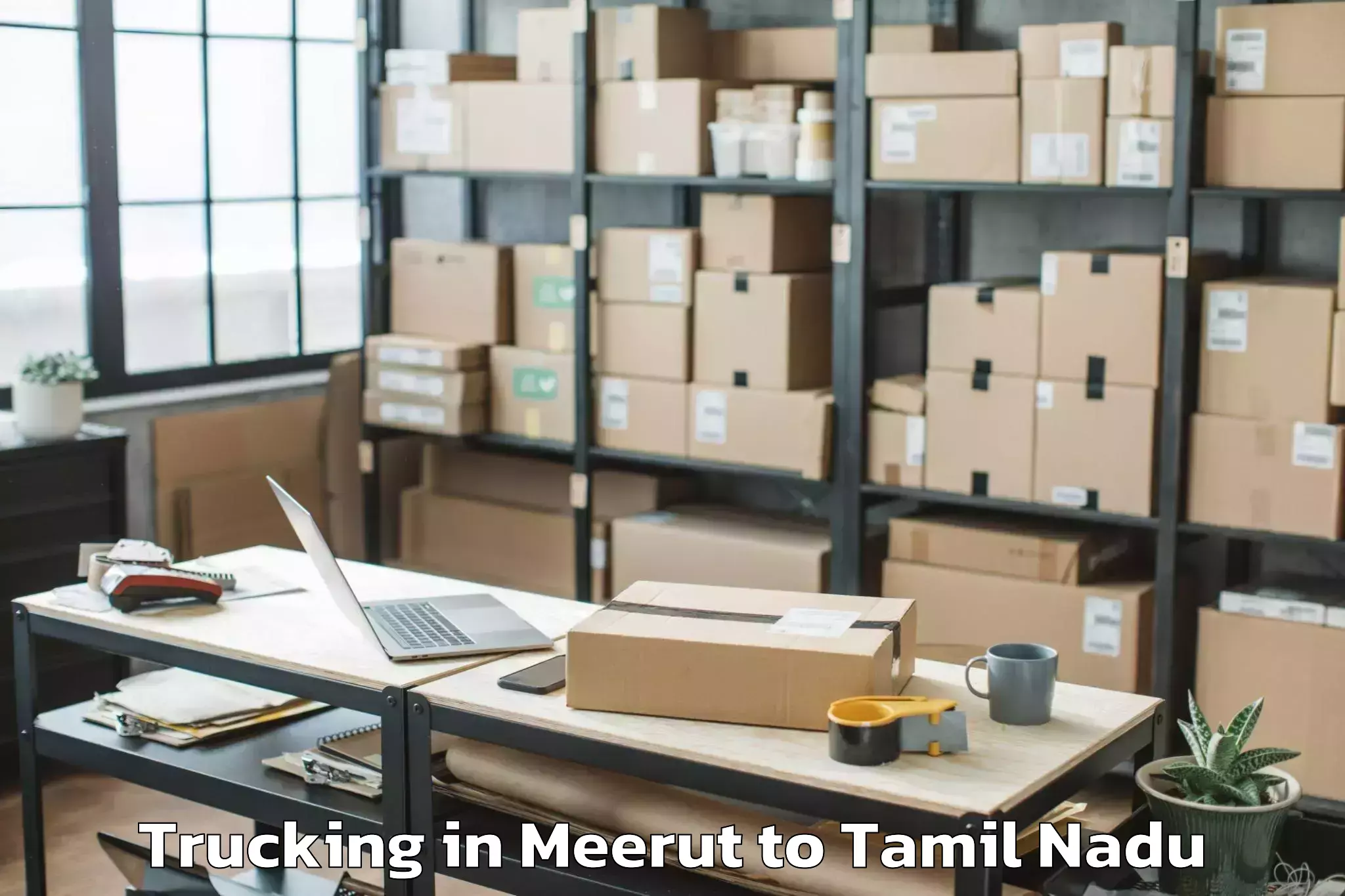 Hassle-Free Meerut to Avudayarkoil Trucking